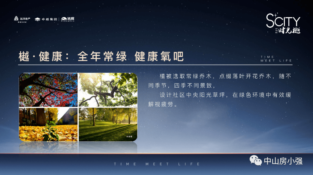 历炎夜夏云初最新章节深度解析与探讨