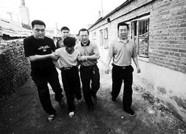 王强最新消息揭秘，心灵与自然的奇妙旅行之旅