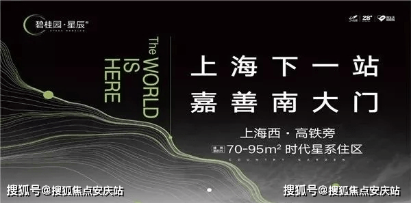 中国电信简介最新版，小巷中的星辰巨擘