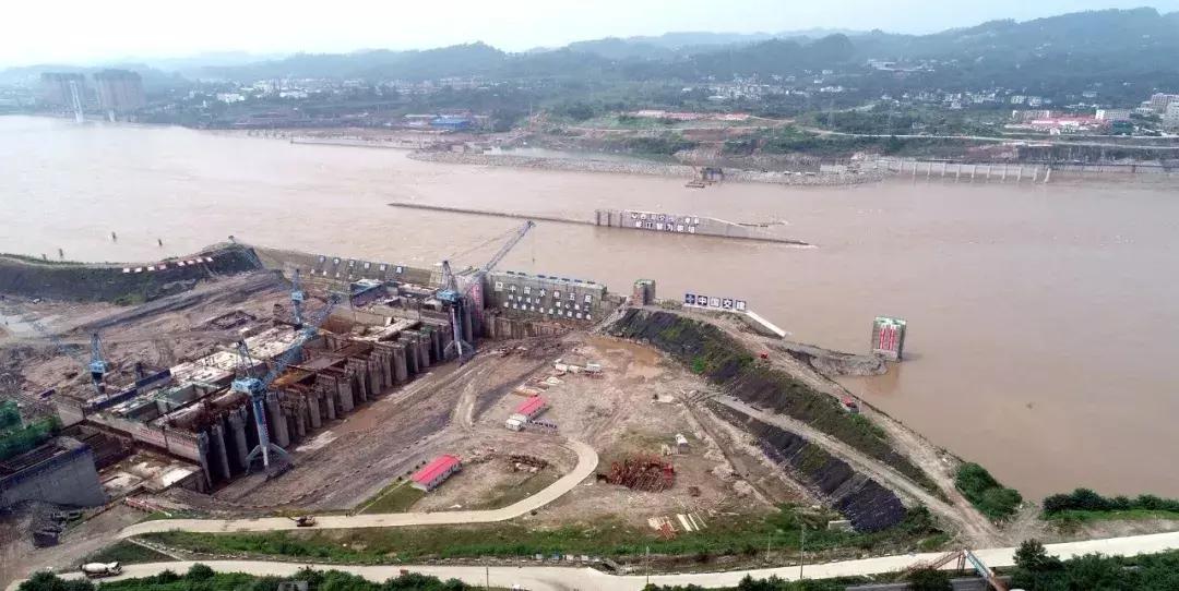 五沐快速通道最新动态与观点论述摘要